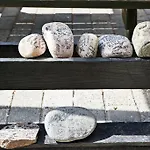 Vandrerhjem, I Kongens Baghave Vandrarhem