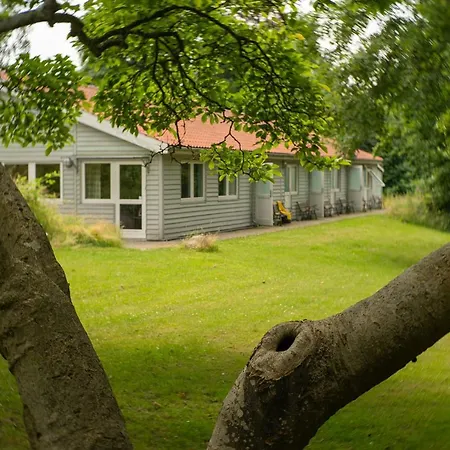 Vandrerhjem, I Kongens Baghave Hostel *