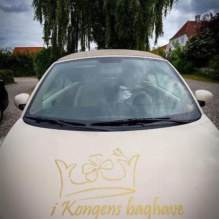 Vandrerhjem, I Kongens Baghave Hostel *