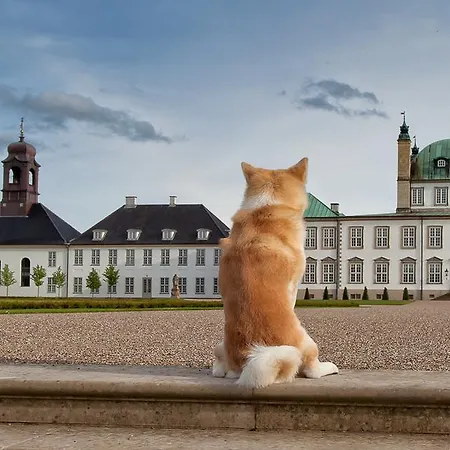 Hostel Vandrerhjem, I Kongens Baghave