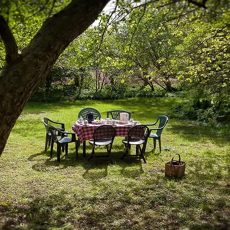 Hostel Vandrerhjem, I Kongens Baghave
