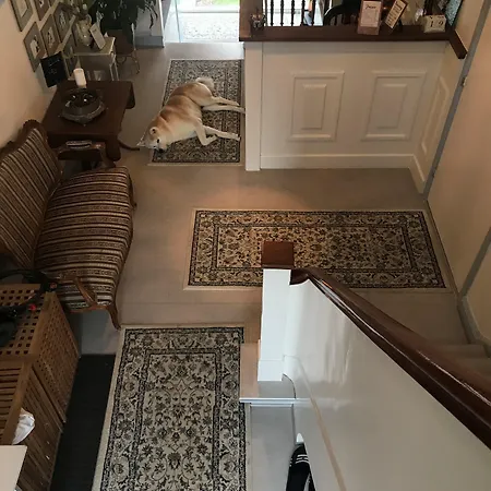 Vandrerhjem, I Kongens Baghave פרדנסבורג