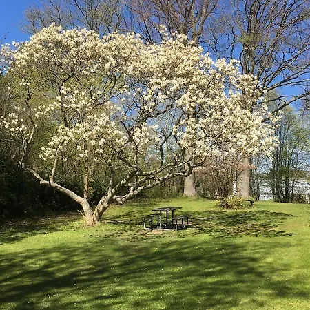 Hostel Vandrerhjem, I Kongens Baghave *