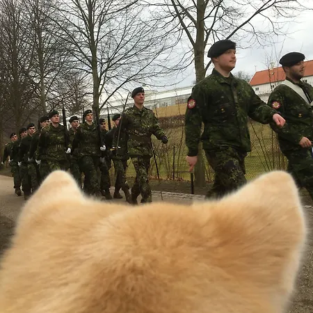 Vandrerhjem, I Kongens Baghave * 프레덴스보르