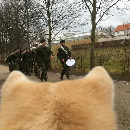 Ostello Vandrerhjem, I Kongens Baghave Fredensborg