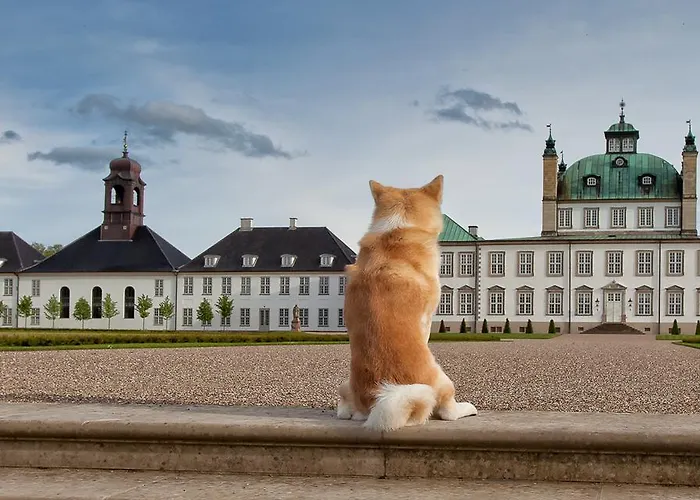Hostel Vandrerhjem, I Kongens Baghave