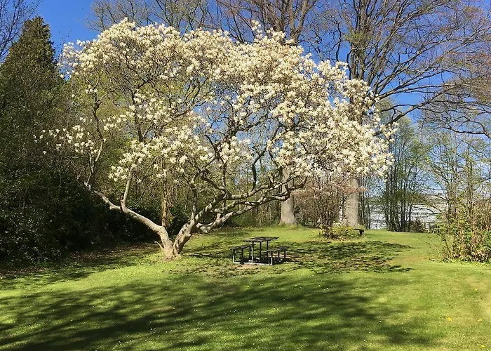 Ostello Vandrerhjem, I Kongens Baghave *
