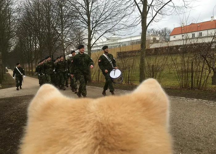 Ostello Vandrerhjem, I Kongens Baghave Fredensborg