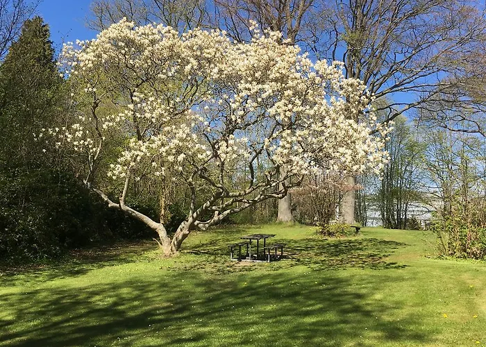 旅馆 Vandrerhjem, I Kongens Baghave *